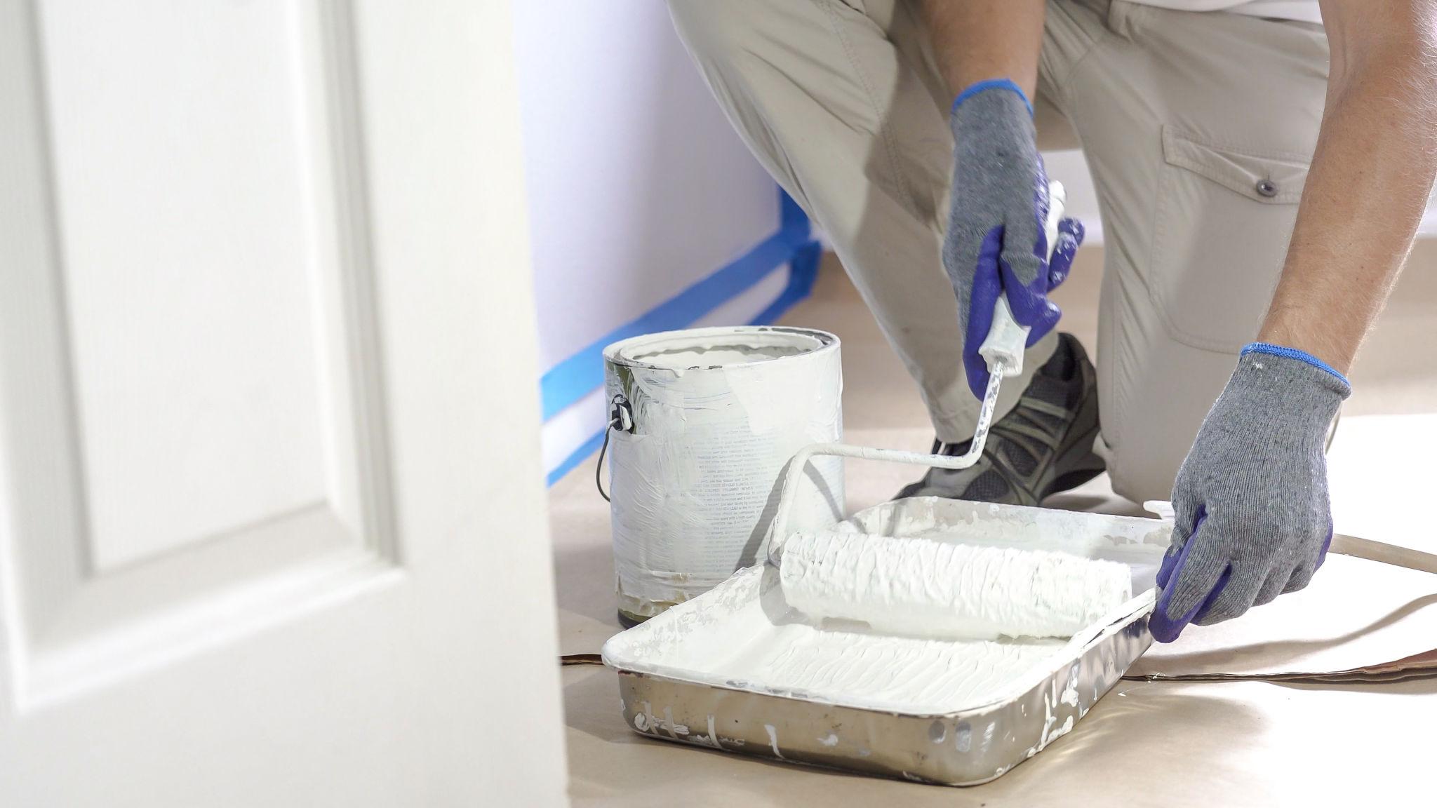 Multitone professional painter preparing premium paint finish in Mentone, Victoria